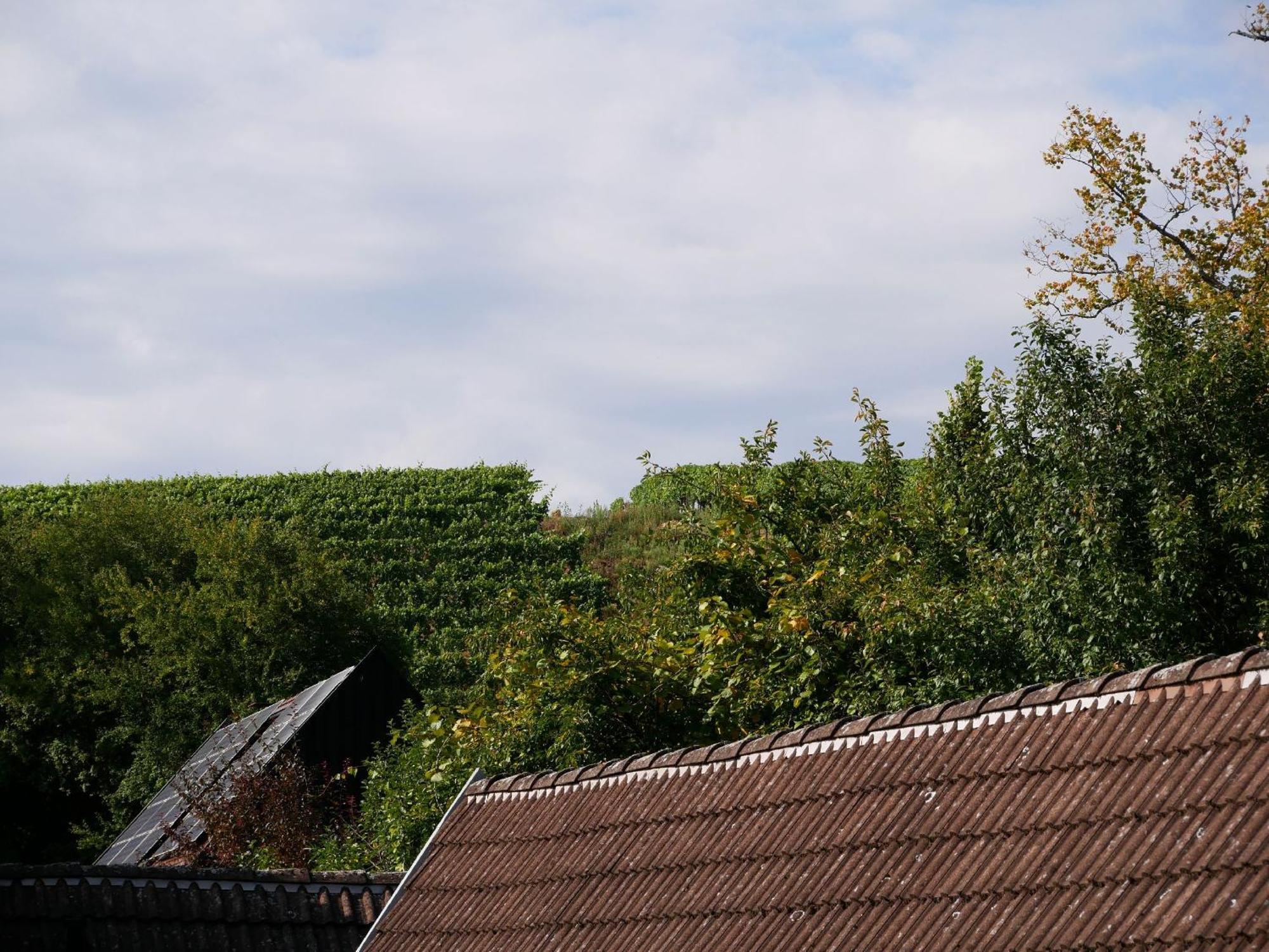 Haus Der Malerin Andrea Gawaz Mullheim (Baden-Wurttemberg) Exterior foto
